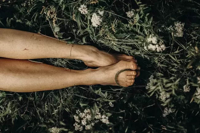 Healthy legs without varicose veins